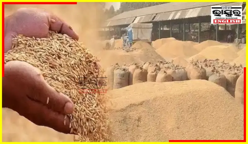 Farmer Registration for Odisha Rabi Paddy Procurement Begins March 10