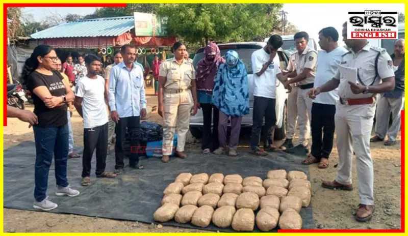 Sonepur Police Seize 1.5 Quintal Ganja, 2 Women Among 5 Arrested