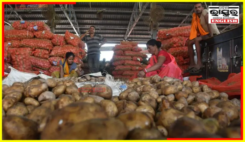 Govt Caps Potato Price at Rs 12, Onion at Rs 20