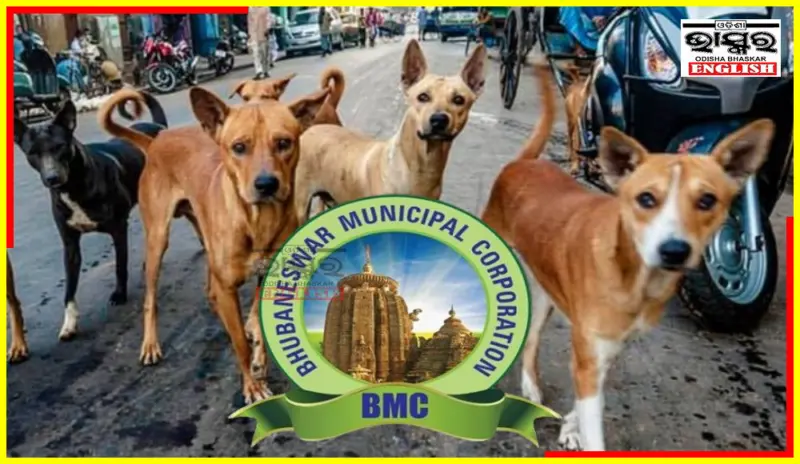 Bhubaneswar Targets Rabies-Free Future with 40,000 Dog Vaccinations