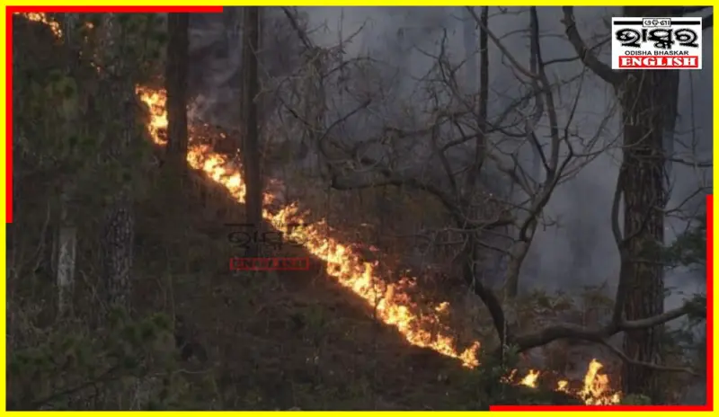 Odisha Battles Wildfires Across 130 Forests, Control Room Set