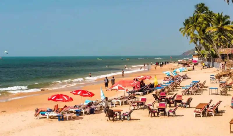 Goa Nightmare: Massive Drop in Foreign Tourists