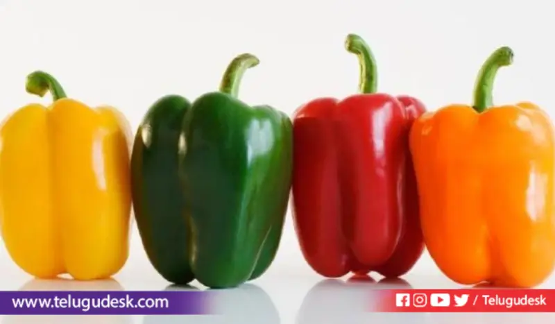 పచ్చ, పసుపు, ఎరుపు క్యాప్సికమ్.. అసలు తేడా ఇదే
