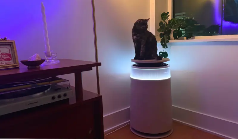 The Dreame FP10 air purifier cleans fur off its own filter. Just as crucially, it matches my living room aesthetic.