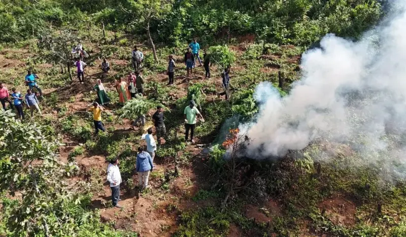 Drones To Combat Ganja In Andhra Pradesh