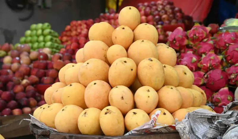 Beware of 'Masala Carbide': How to identify mangoes artificially ripened by banned carbide