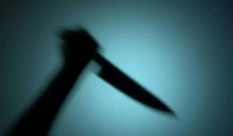 Retired couple brutally attacked with sharp object at Nagaon