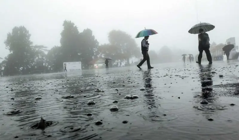 आधा घंटा बारिश (व्यंग्य)