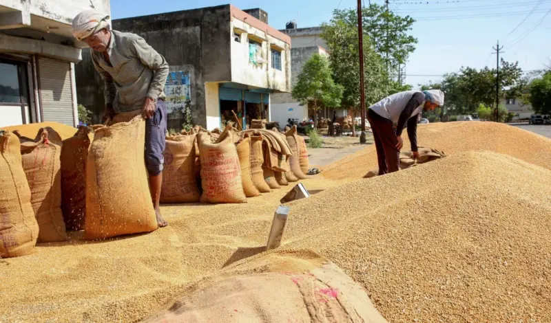 Food Security पर केंद्र का बड़ा बयान, 'Buffer Stock से 3 गुना ज़्यादा अनाज, चिंता की बात नहीं'