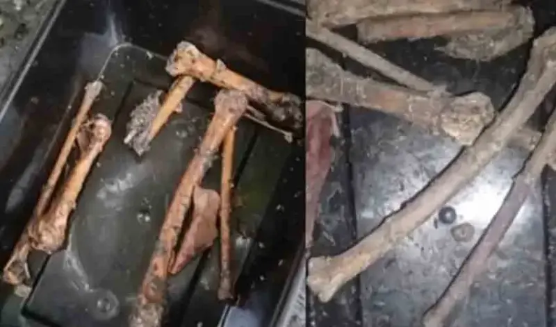 'വെള്ളം കോരുന്നതിനിടെ കണ്ടത് അസ്ഥികള്' ; തൃശ്ശൂരില് കിണറ്റില് ചാക്കില് കെട്ടിയ നിലയില് അസ്ഥികഷ്ണങ്ങളും, സ്ത്രീയുടെ വസ്ത്രവും