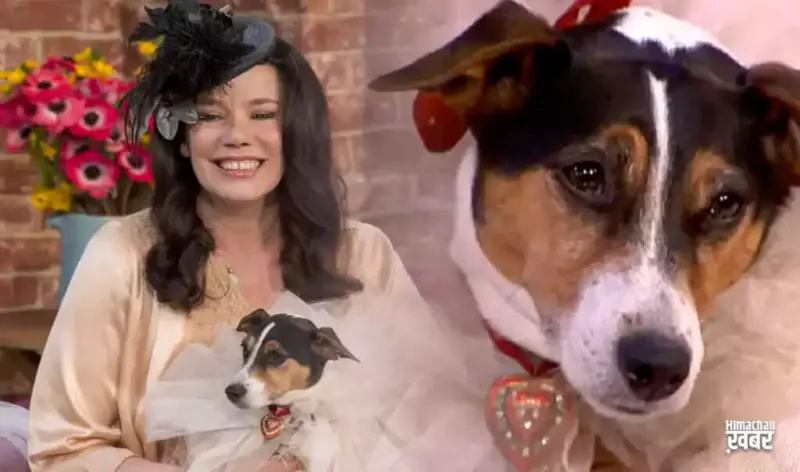 Woman Marries Dog After Divorce, Claims to Be Happier