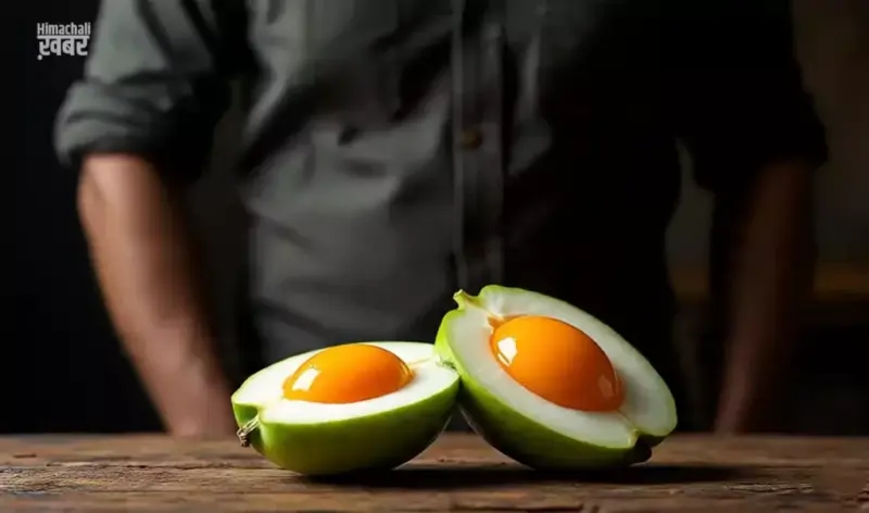 शिलाजीत का बाप है ये फलˈ खा लिया अगर तो मिलेगी 20 घोड़ों जैसी ताकत रात में थमेगा नहीं तूफानˌ