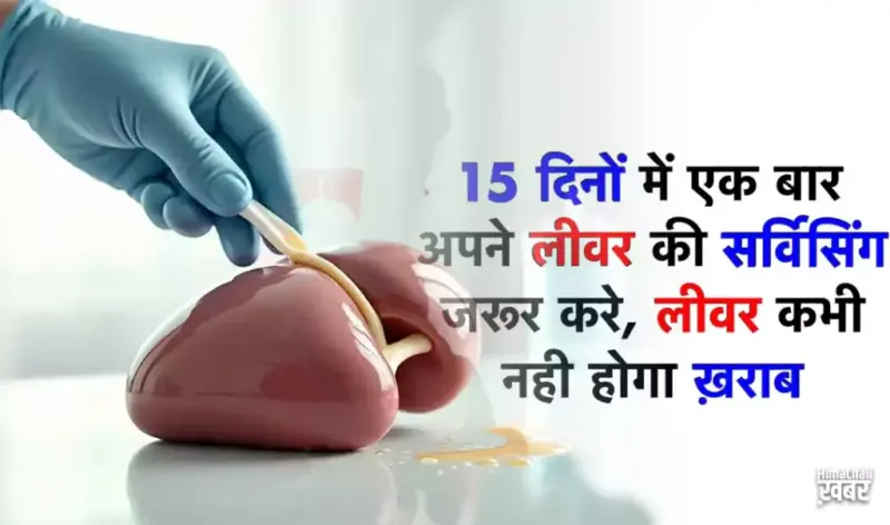 15 दिनों में अपने लीवर को एक बार जरूर साफ करना चाहिए लीवर में जमा ज़हर निकाले सिर्फ 15 दिन में डॉक्टर्स भी देते हैं सलाह