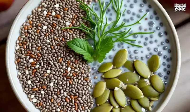 The Incredible Benefits of Soaked Seeds for Health