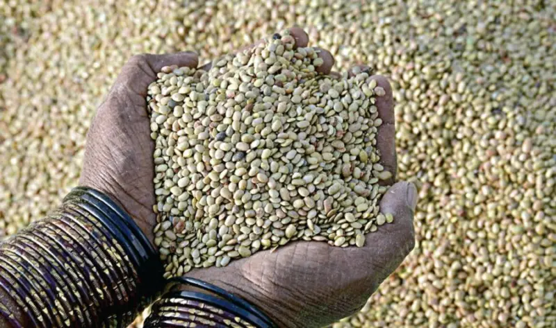 Kollu Benefits in tamil: கொழுப்பை குறைக்கும் கொள்ளு..! யார் சாப்பிடலாம்? யார் சாப்பிடக்கூடாது?