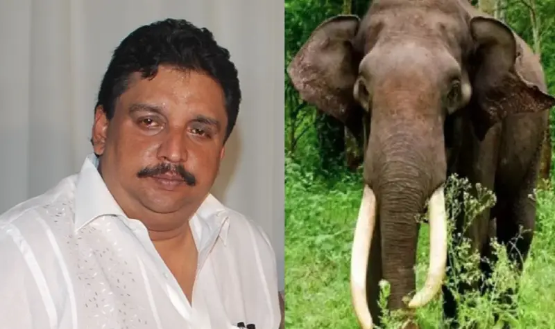 അതിരപ്പിള്ളിയില്‍ വനം മന്ത്രിയുടെ വാഹനത്തിന് 'ചെക്കുവെച്ച്‌' കാട്ടാന; പടക്കം പൊട്ടിച്ച്‌ ആനയെ തുരത്തി ഉദ്യോഗസ്ഥര്‍