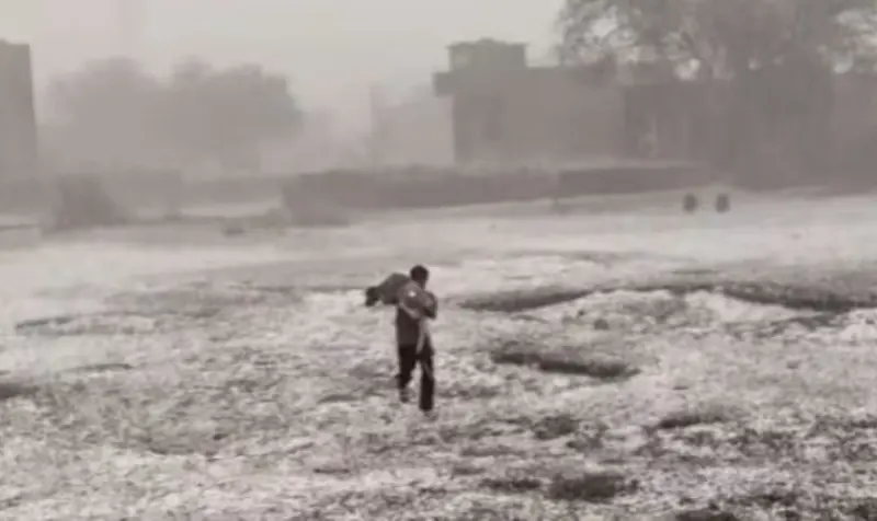 হিরোর মতো ঝাঁপ! প্রবল দুর্যোগেও জীবন বাজি রেখে বাছুর উদ্ধার, ভাইরাল ভিডিও