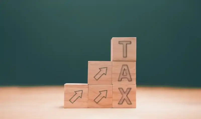 Vedanta demerger and investor income tax rules: What shareholders need to know