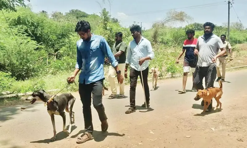 பிடிபடாத சிறுத்தை: மோப்ப நாய்கள் மூலம் தேடும் பணி தீவிரம்!