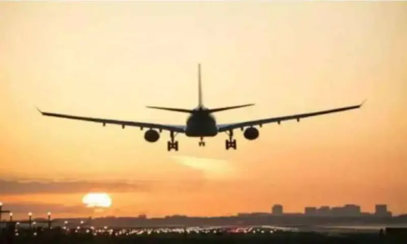 Panic after passenger claims terrorist on Air India flight