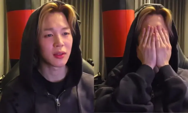 Why Are Fans So Worried About BTS Jimin Following His Latest Livestream?