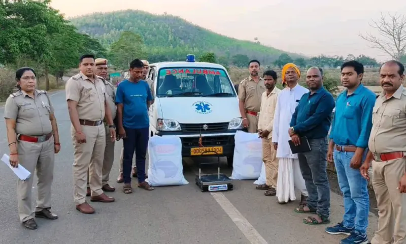 ଆମ୍ବୁଲାନ୍ସରେ ଗଞ୍ଜେଇ ଚୋରା ଚାଲାଣ : ଆମ୍ବୁଲାନ୍ସ ସହିତ ଗଞ୍ଜେଇ ଜବତ : ୨ ଗିରଫ