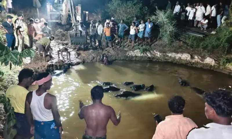 nandyala: బావిలో పడ్డ 30 గేదెలు.. ఎనిమిది మృతి, రైతుల కన్నీరు!