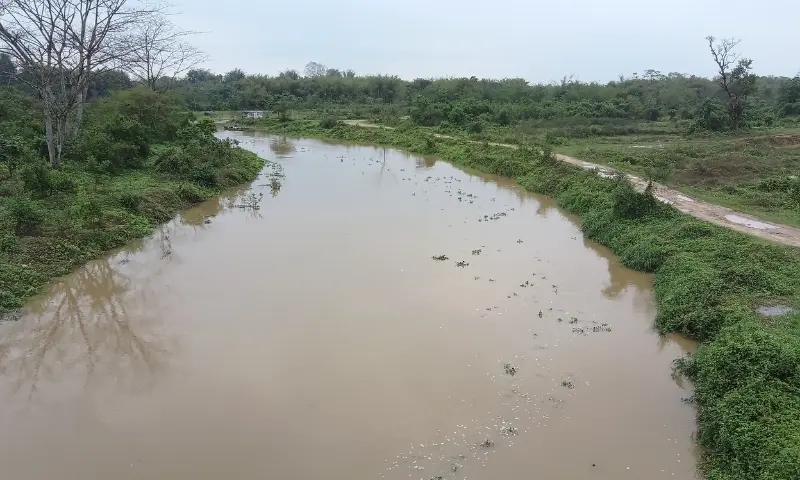 Assam: Torrential rains trigger erosion, crop loss and widespread waterlogging in Doomdooma