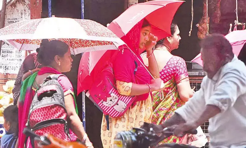 Mixed weather conditions grip Andhra Pradesh