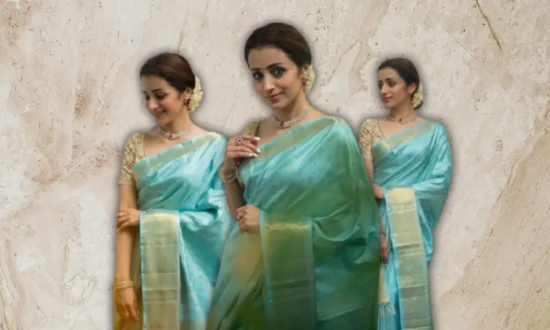 Why Trisha Krishnan's Aqua Blue Saree For Thalapathy Vijay's Oath Ceremony Has A Deeper Meaning?