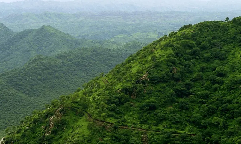 Environment Ministry endorses expert panel proposed by CEC to define Aravalli hills