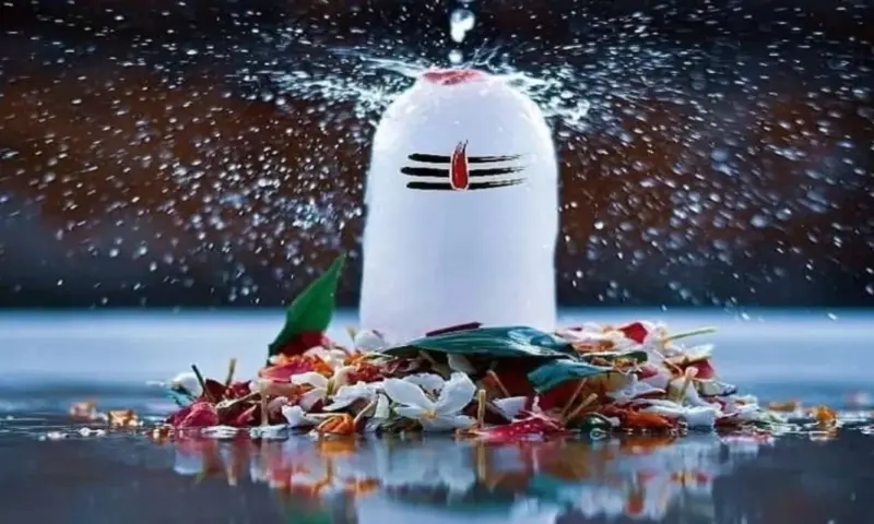 Shiva Abhishekam: రాగిచెంబులోని పాలతో శివాభిషేకం చేస్తున్నారా... శివయ్య ఆగ్రహిస్తాడు జాగ్రత్త
