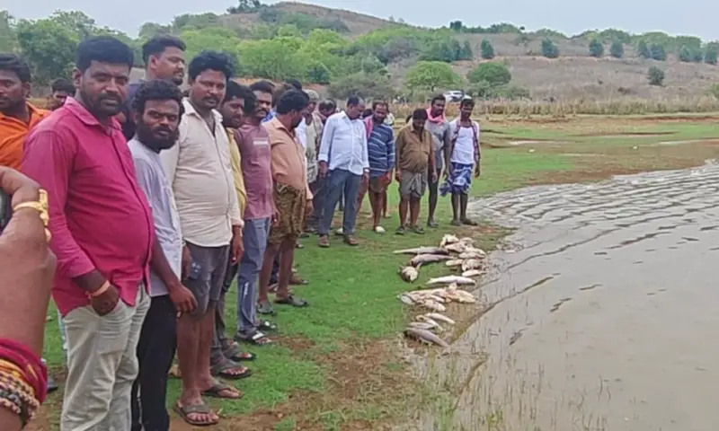 Visakhapatnam: సీ ఫుడ్ కంపెనీ ఆగడాలు.. పశువుల మృతితో రైతుల ఆగ్రహం