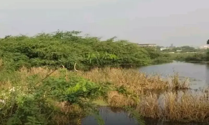 Nellore: ఏఎస్ పేటలో సాగునీటి ఆనకట్ట కనుమరుగు: 50 ఎకరాల విస్తీర్ణం ఆక్రమణలతో 5 ఎకరాలకు కుదింపు!