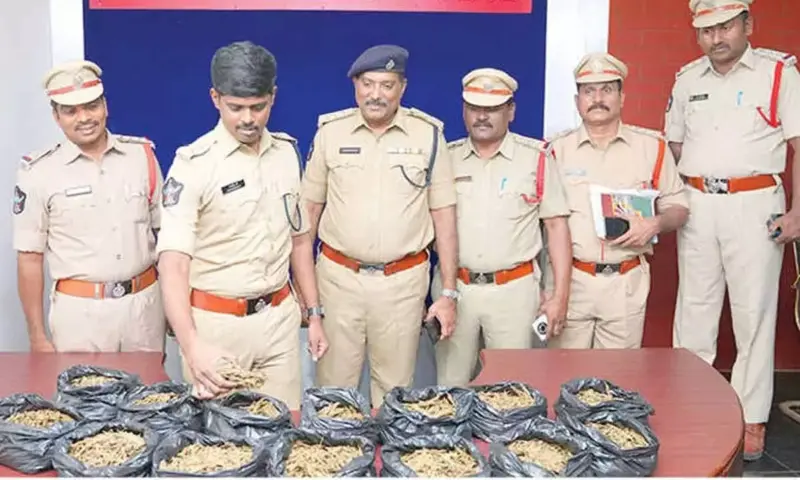 Police smash major narcotics grid; 14 drug peddlers arrested with 7 kg ganja