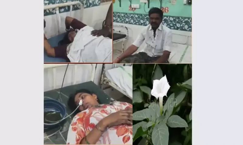 Kakinada: Family Hospitalised After Eating Datura Flower Dal Inspired By Cooking Reel