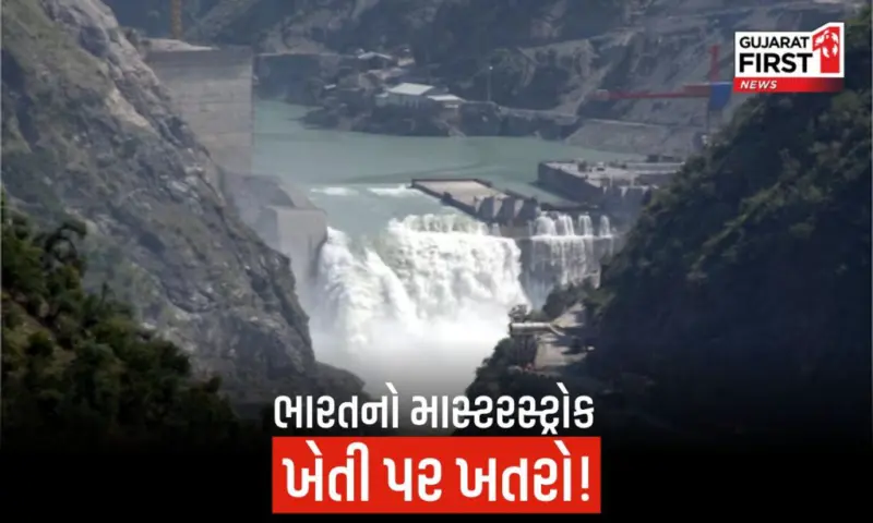 ઈરાન યુદ્ધ વચ્ચે પાકિસ્તાનમાં હાહાકાર, પેટ્રોલ-ડીઝલ માટે નહીં, આ વસ્તુની કમીથી તડપશે દેશ