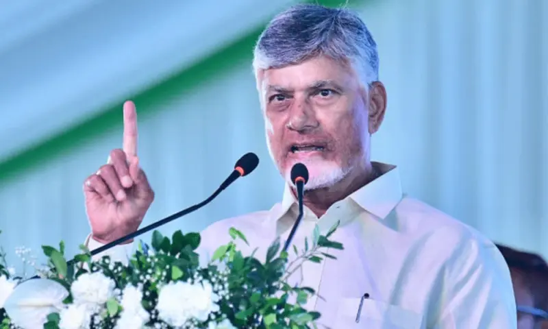 టీడీపీ డీఎన్ఏలోనే బీసీలు!: చంద్రబాబు
