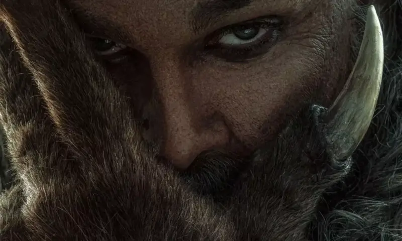 Many Wolves Following Allu Arjun's Raaka
