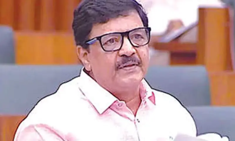 State govt open to Disney-style theme parks