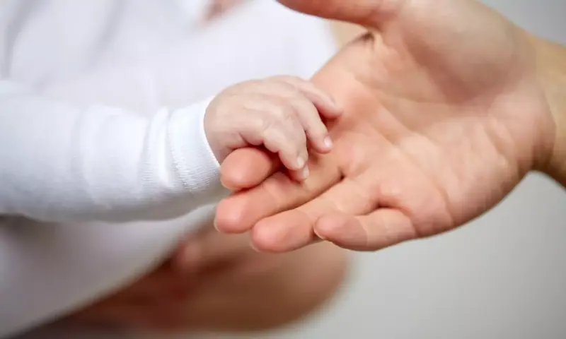 Motherhood? In This Economy?