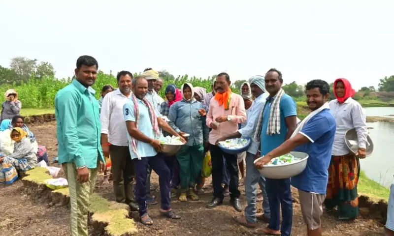 Karimnagar: 'అమ్మ ఫౌండేషన్' సేవా కార్యక్రమం.. 250 మంది ఉపాధి హామీ