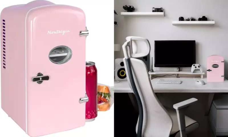 Portable Fridge: మీ జర్నీని కూల్‌గా మార్చేయండి.. 3 వేల లోపే అదిరిపోయే మినీ ఫ్రిజ్!