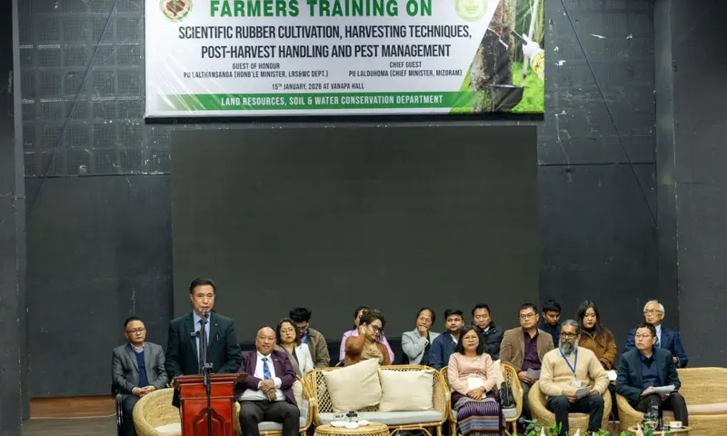 Mizoram aims for new identity through rubber mission following ginger success