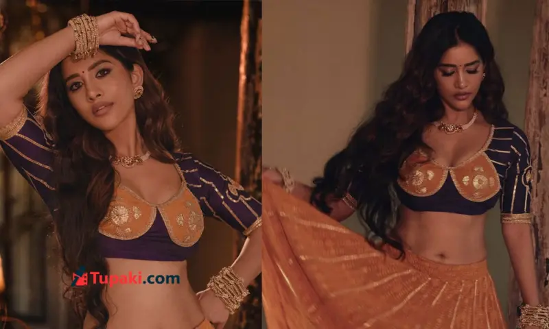 లెహంగా సోయగాలతో మైమరపిస్తున్న నభా నటేష్!