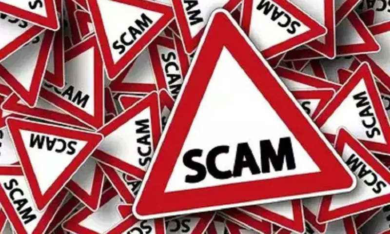 Meghalaya: ED attaches Rs 17.91 crore assets in Pearlvine International Ponzi scam