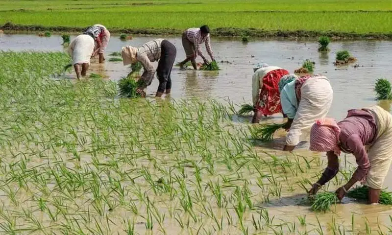 రైతులకు గుడ్ న్యూస్ తెలిపిన కేంద్ర ప్రభుత్వం