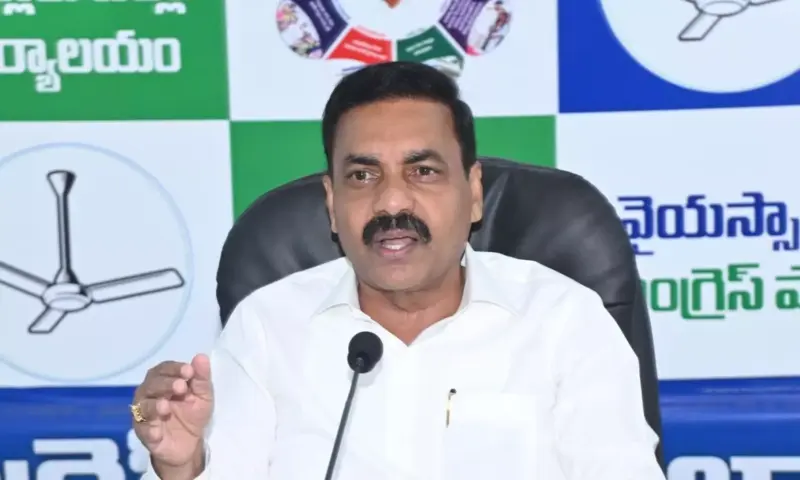Nellore: ఆధారాలతో సహా మీడియా ముందు ప్రదర్శించిన కాకాణి