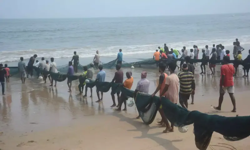 Fishermen Protest Coastal Intrusions, Seek Probe into Missing Boats
