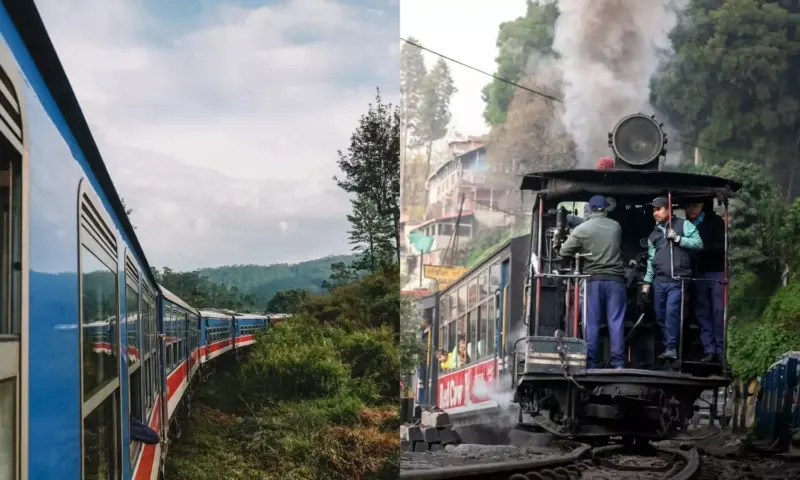 Tracks, Trails, and Timeless Views